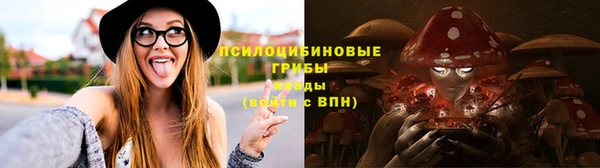 а пвп мука Кодинск