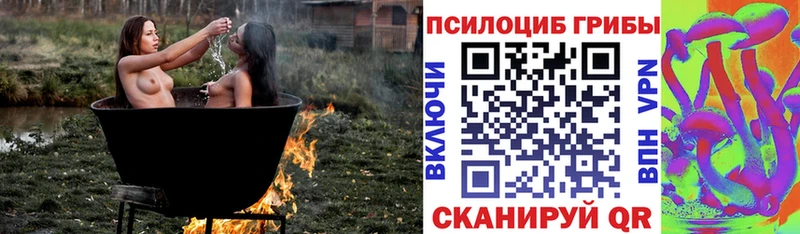 Галлюциногенные грибы прущие грибы  Купить где  Змеиногорск 